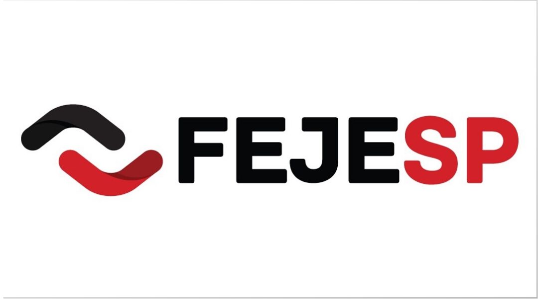 fejesp-movimento-empresa-jr